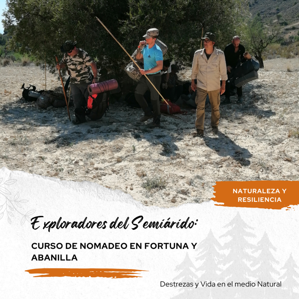 Curso Nomadeo