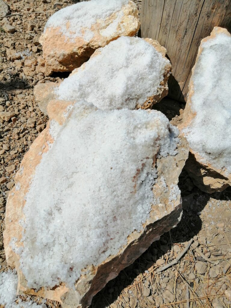 Salado de la Trucha: Conservación de Alimentos en la Naturaleza