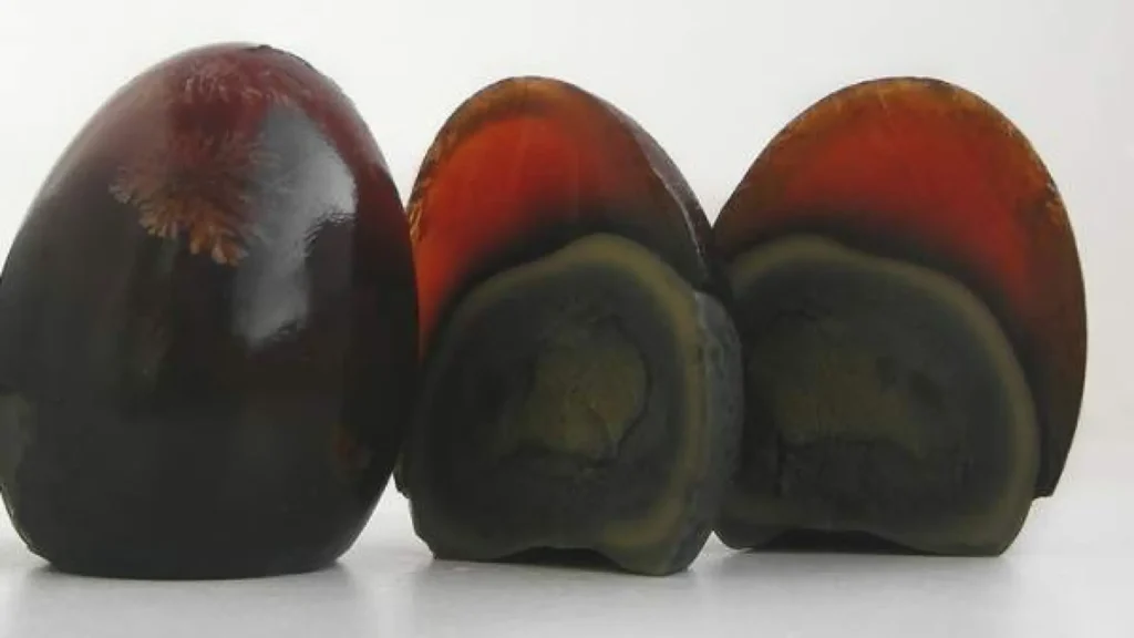 Los huevos centenarios son una tradición culinaria de China. Para prepararlos, se recubren con una mezcla de arcilla, ceniza y cáscaras de arroz. Luego, se dejan reposar durante varias semanas o incluso meses.